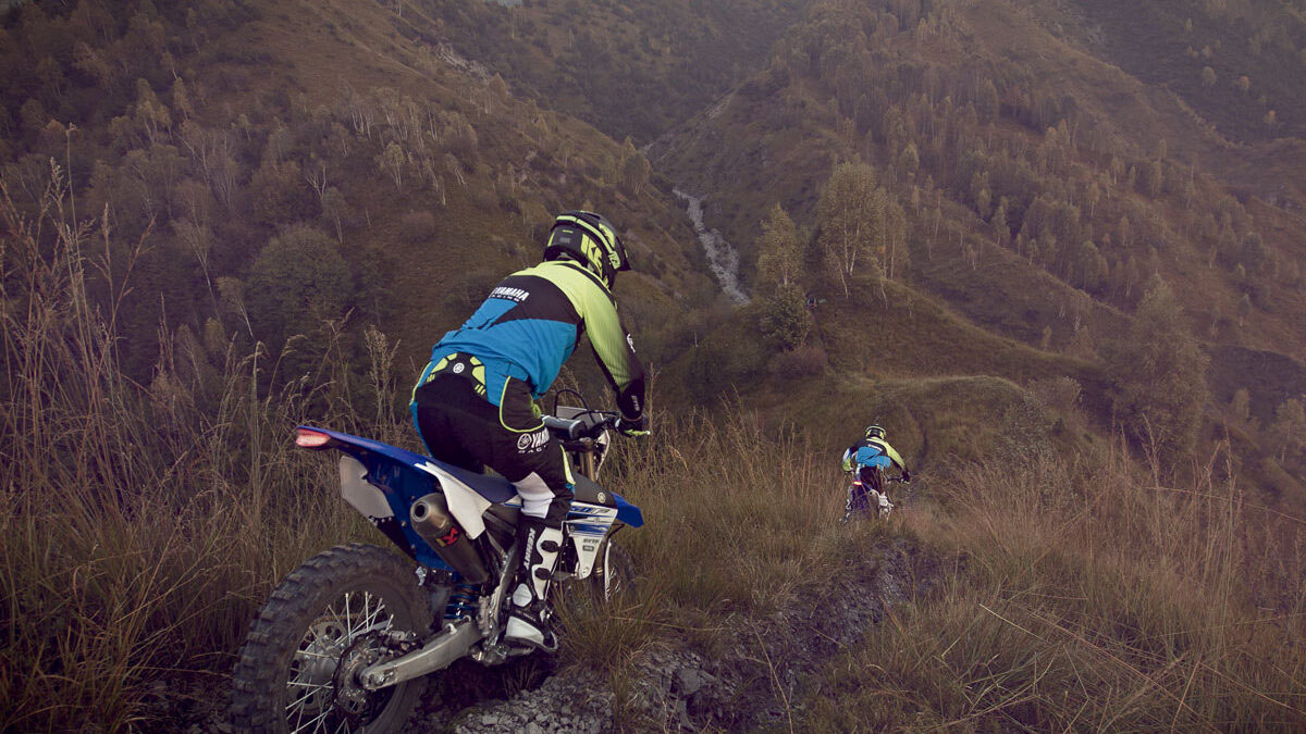 ¿Es proporcional los recursos que se gastan para perseguir a los endureros?